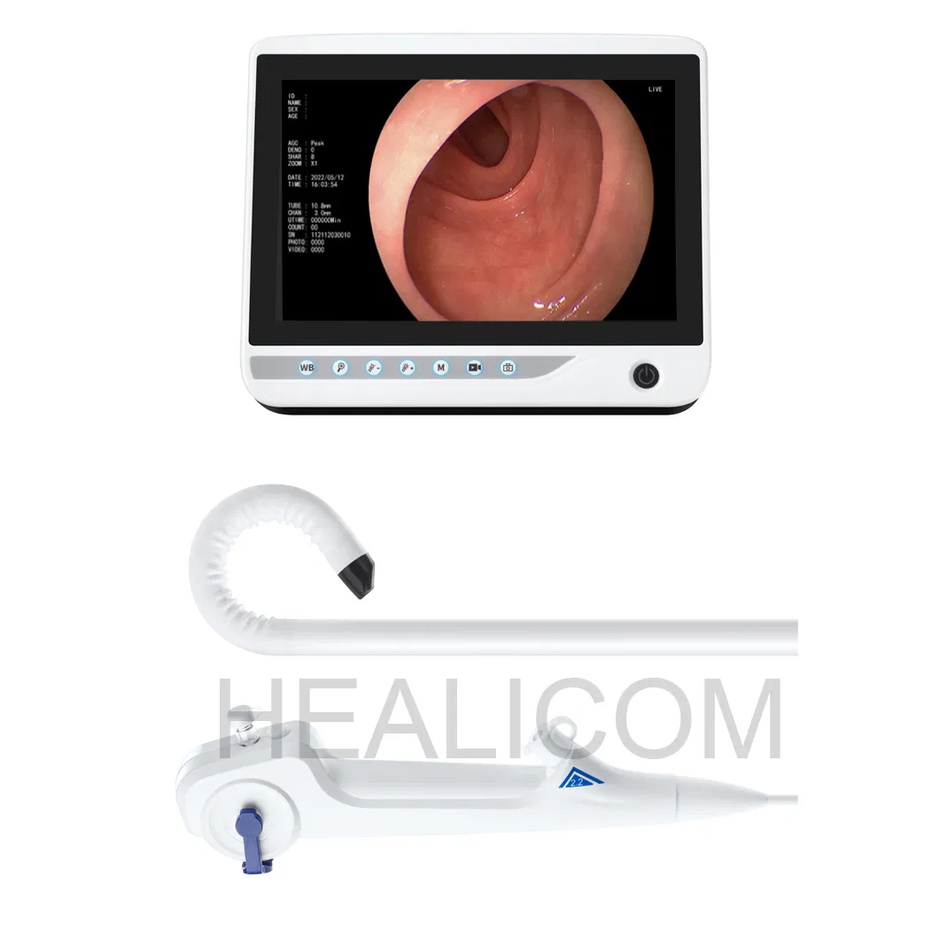 Veterinary Endoscopy System