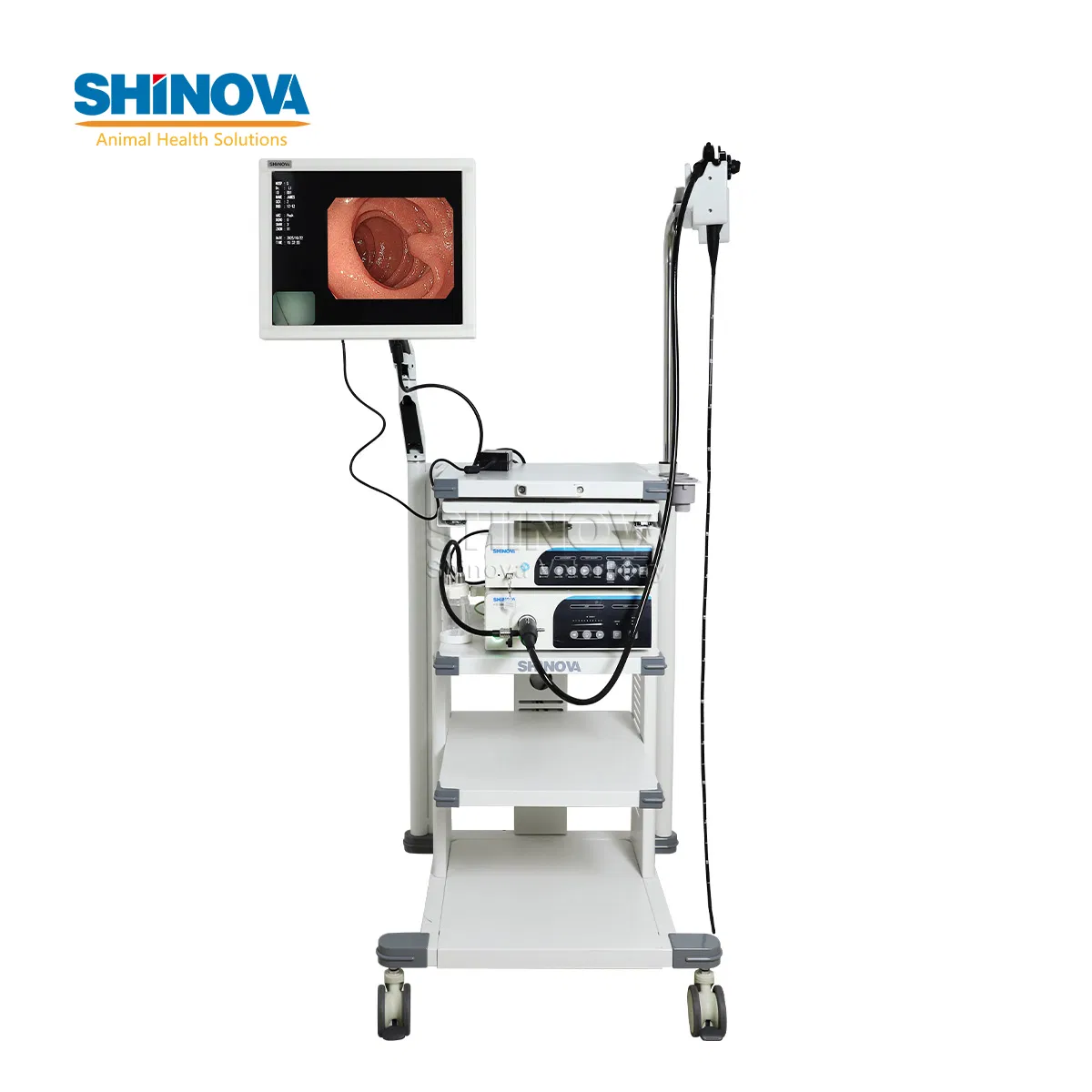 1.5-Meter Veterinary Endoscopy Tower System
