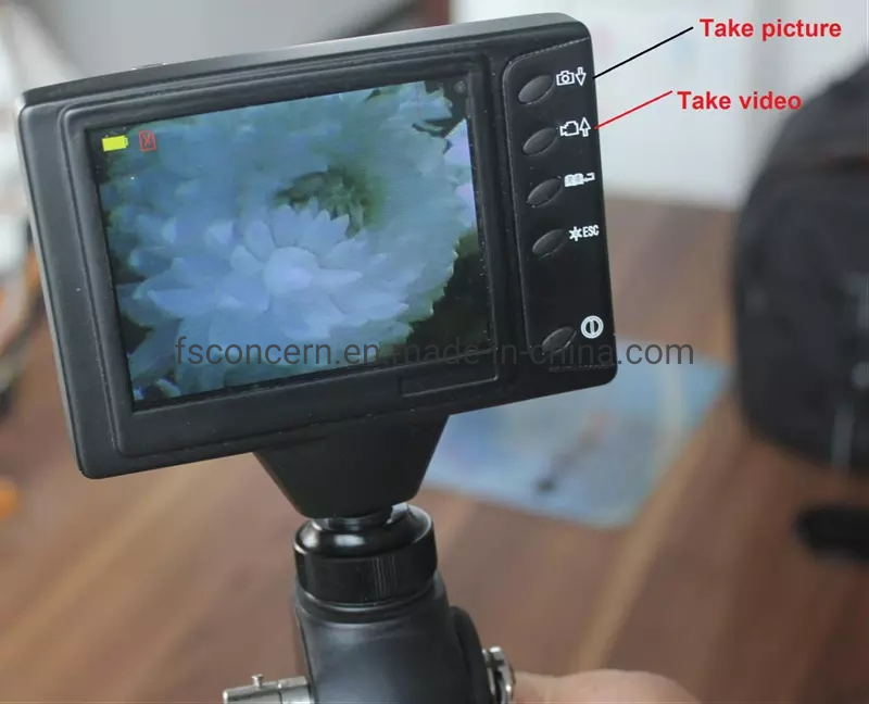 Medical Hot Selling Cc-En9BV Portable Flexible Veterinary Video Bronchoscope System