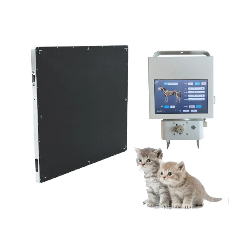 High Quality Electric Pet X-ray Machine Professional Use Metal Animal Health Equipment Veterinary Hospitals Use X Ray