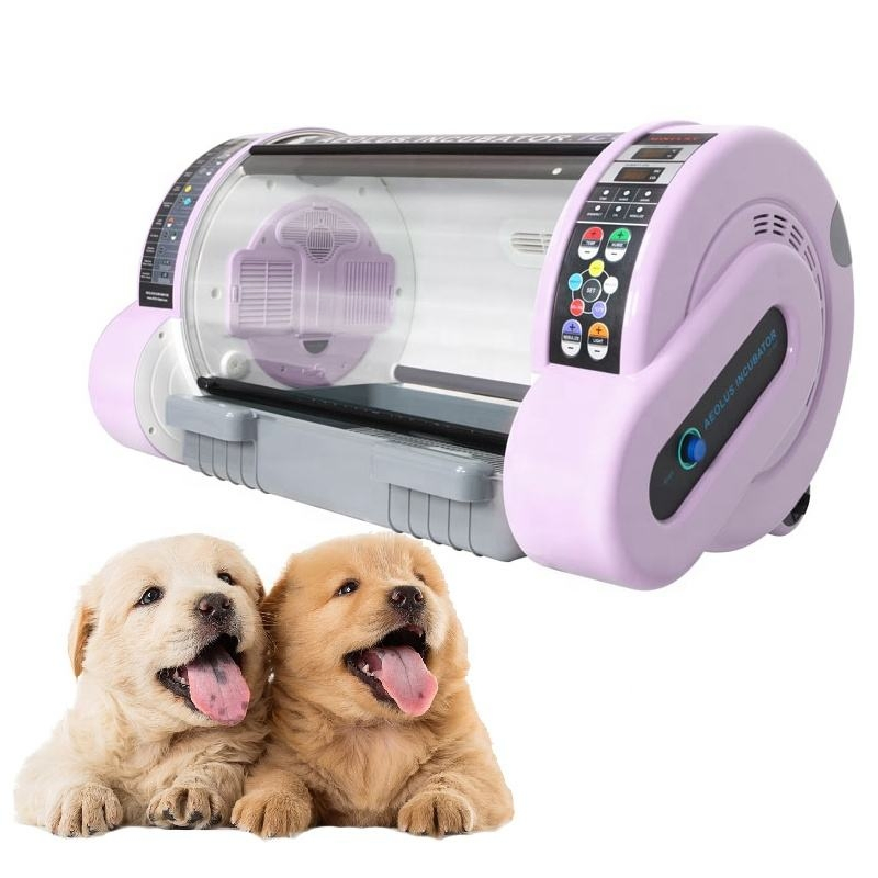 Senwell Medical Low Prices Hot Selling Auto Adjustable Baby Animal Incubator Pet Incubator