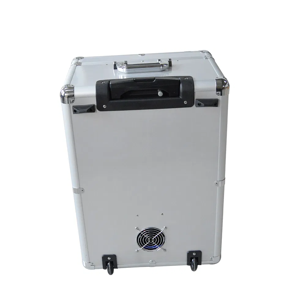 Portatiles Veterinary Dental Equipment Mobile Suitcase Spain Portable Dental Unit with Suction System