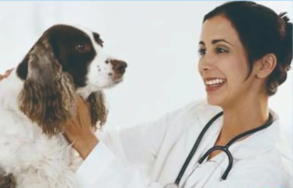 Infusion Pump View 1