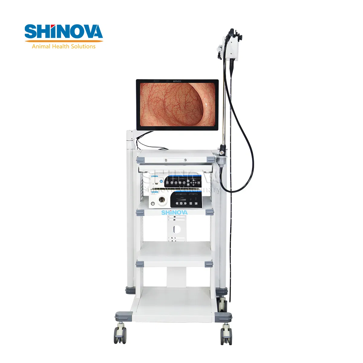 1.5-Meter Veterinary Endoscopy Tower System