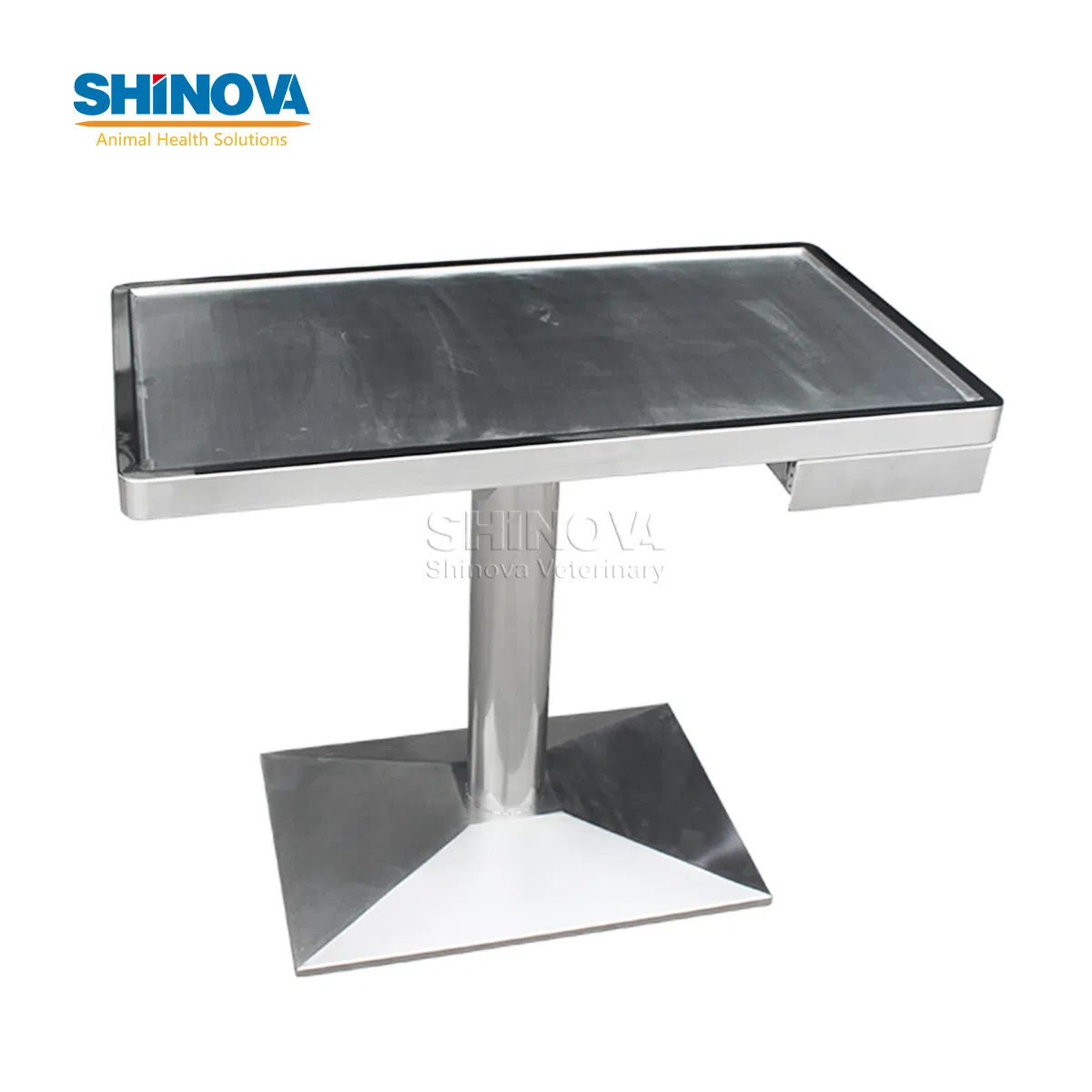 Veterinary Clinic Equipment Examination Table Surgery Station Exam Table with Scale for Dog Cat