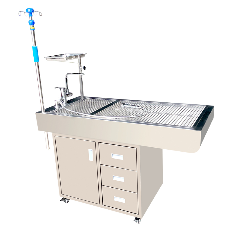 Pet Grooming Surgical Operating Veterinary Dental Work Medical Treatment Animal Examination Table