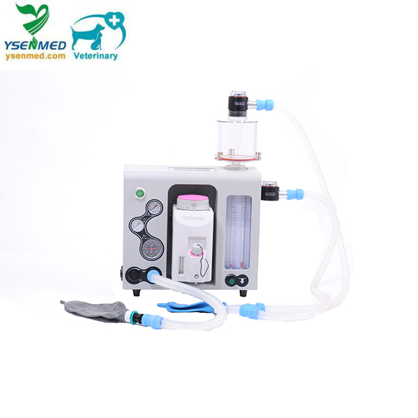 Veterinary Equipment Animal Anesthesia Machine with Ventilator Medical Instrument