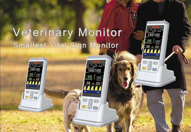 Vital Monitor Display