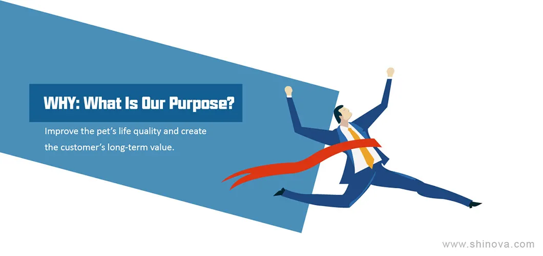 Dental Elevators Set