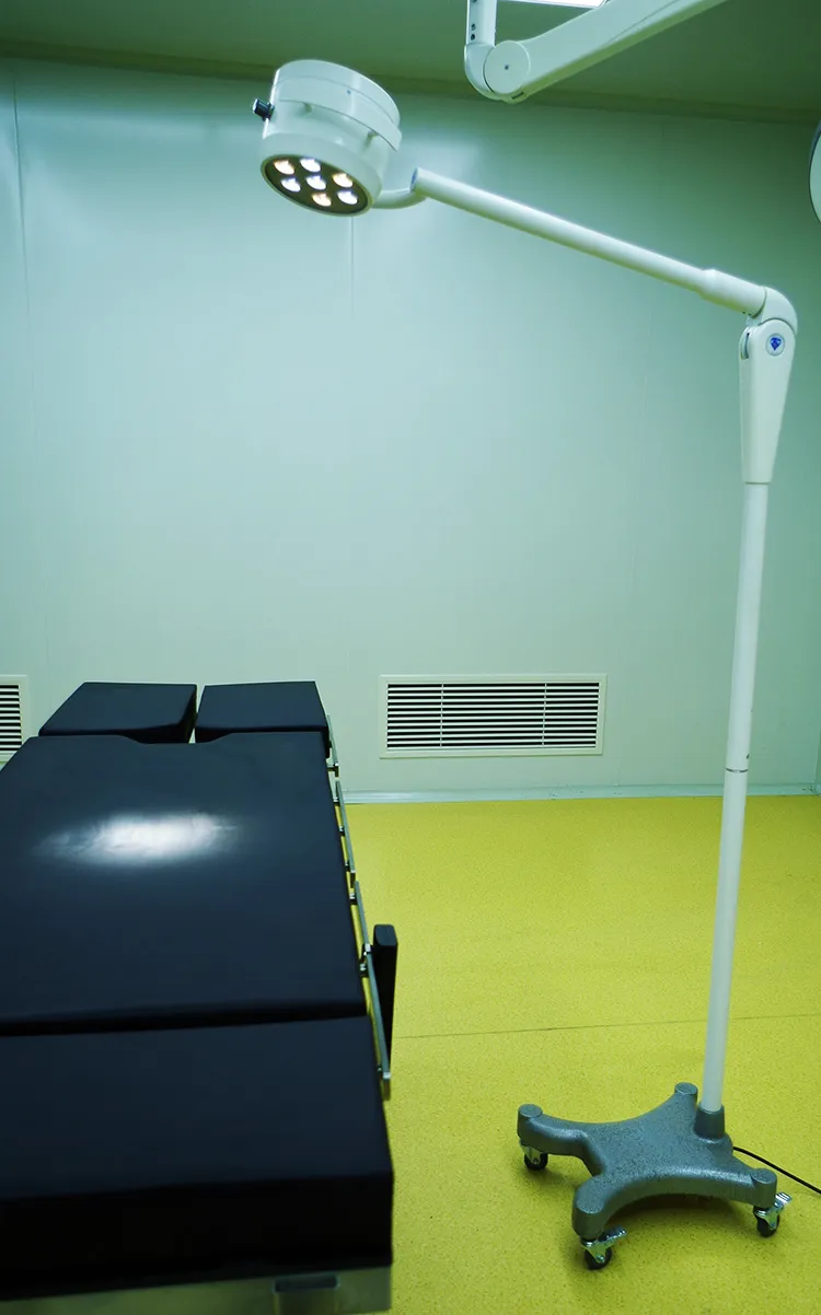 Veterinary Operation Light