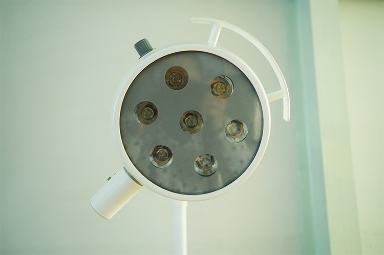 Surgical Lamp Operating Shadowless Lamp Operation Light for Veterinary Clinic Use