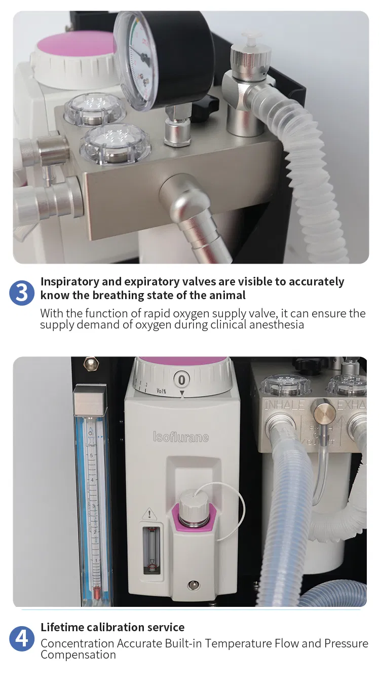 Veterinary Anesthesia Machine Details 4