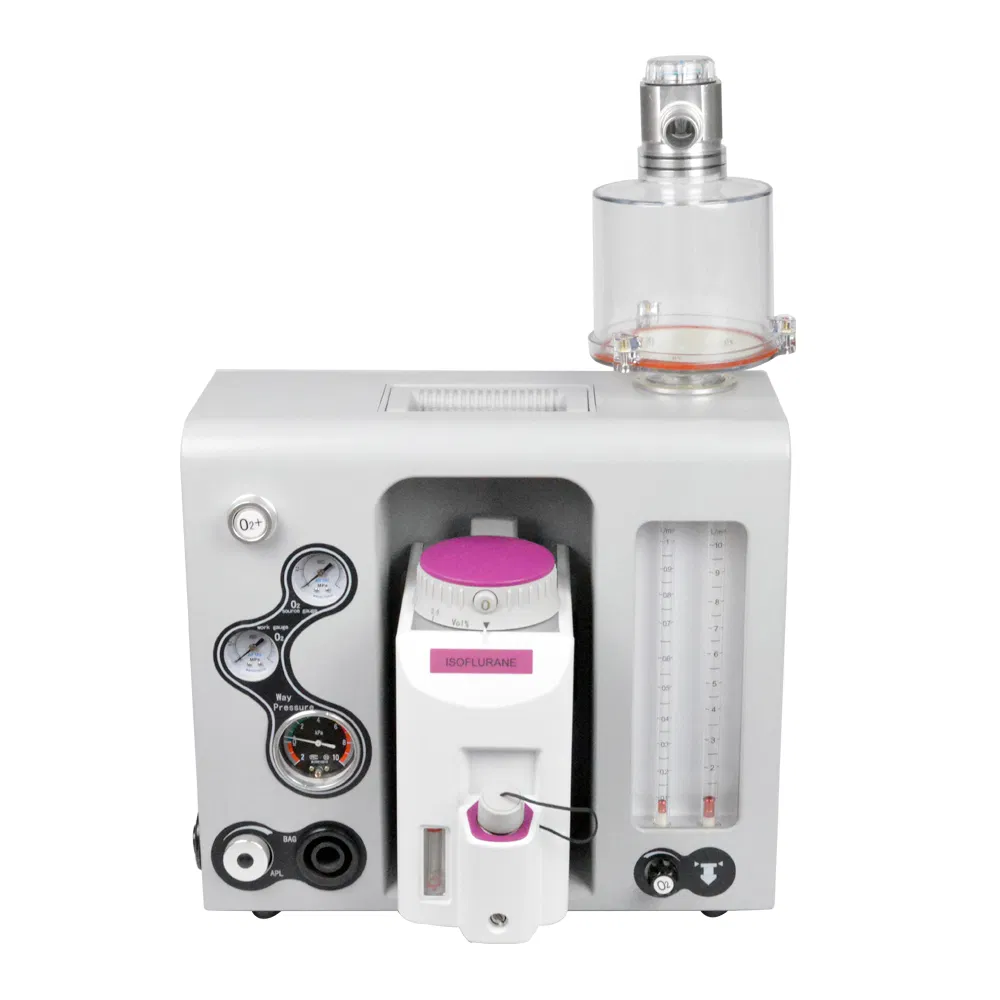 Medical Equipment Vet Clinical Instrument Surgical Veterinary Anesthesia Workstation