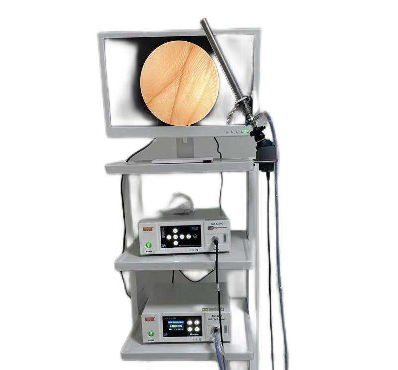 Professional Portable Pet Endoscopy System with High-Quality Camera