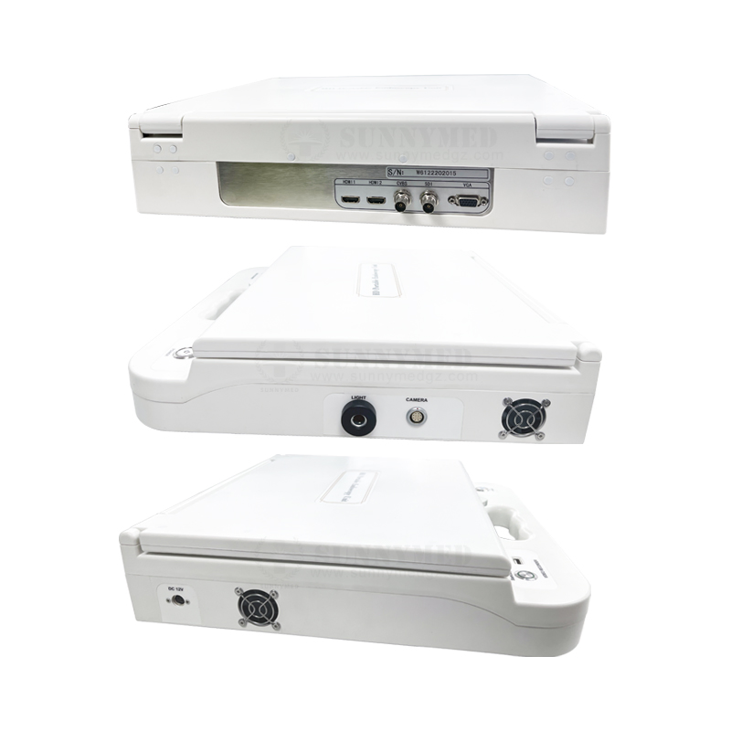 Sy-PS046A Good Medical Encoscopy 17 Inch Screen Portable HD Endoscope System for Veterinary Pet Endoscopy