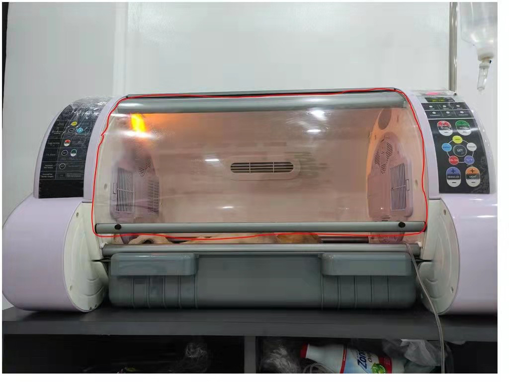 Medical Hospital Instrument Vet C-Arm Digital Veterinary X Ray Equipment for Surgical