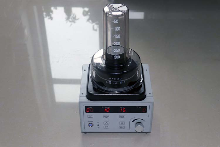 Portable Veterinary Anesthesia Ventilator Machine for Big and Small Animal