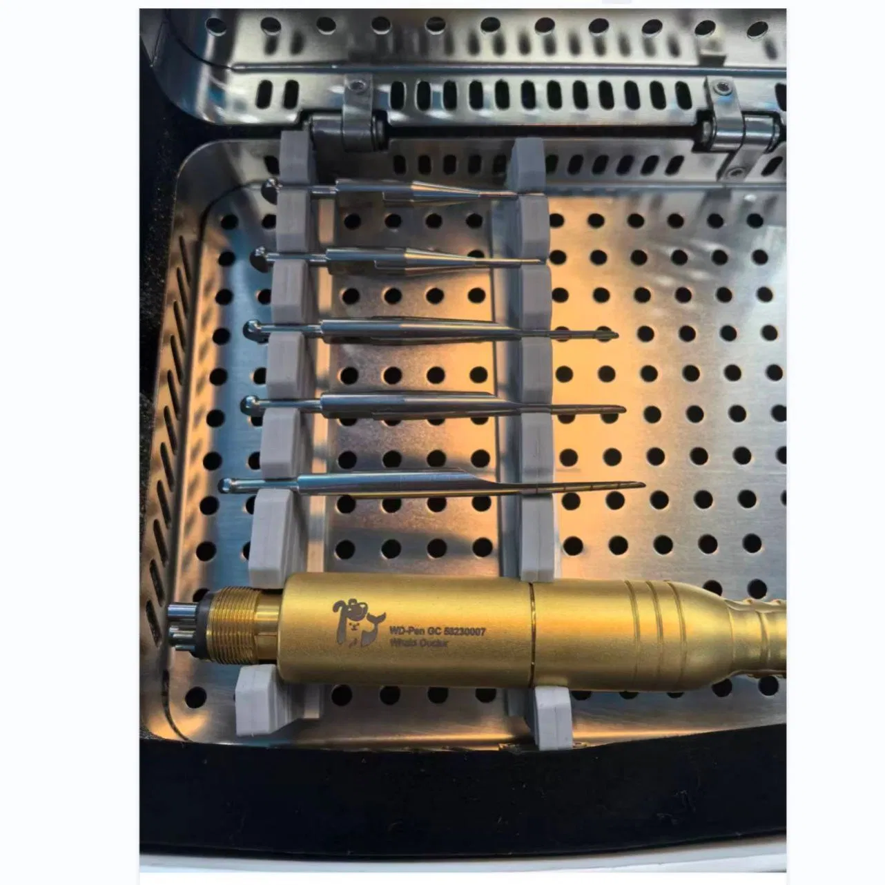 User-Friendly Pet Medical Equipment for Quality Dental Care Solutions Veterinary Instruments