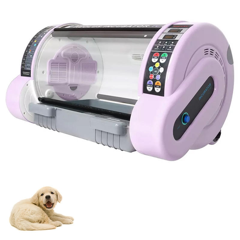 Senwell Medical Low Prices Hot Selling Auto Adjustable Baby Animal Incubator Pet Incubator