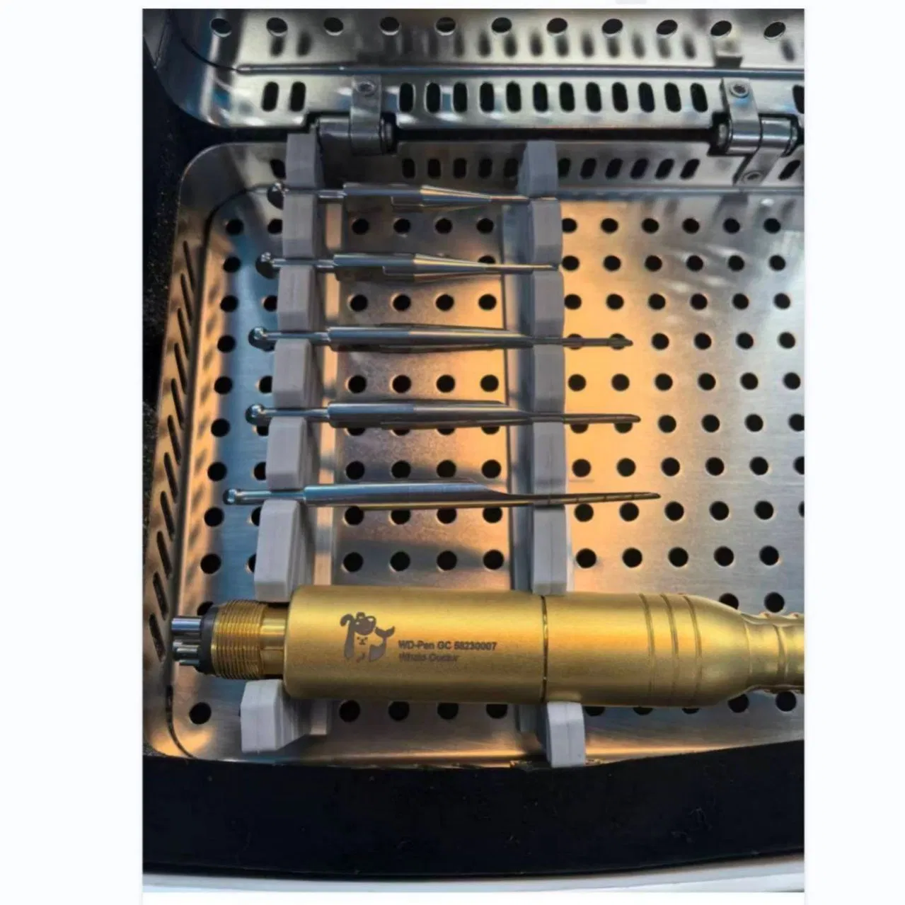 User-Friendly Pet Medical Equipment for Quality Dental Care Solutions Veterinary Instruments