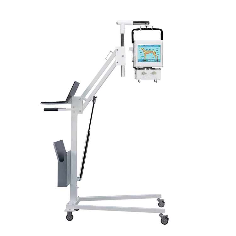 Veterinary Equipment Portable Mobile Radiography Animal 100mA X-ray