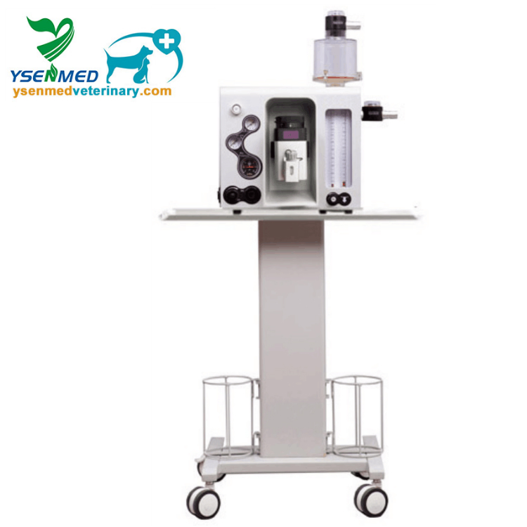 Veterinary Equipment Animal Anesthesia Machine with Ventilator Medical Instrument
