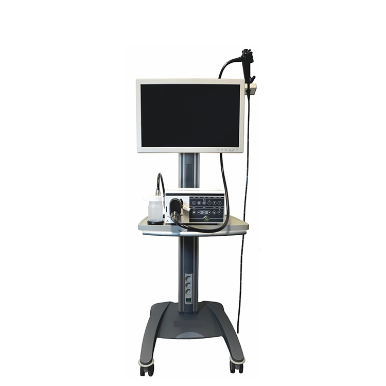 Medical Photoelectricity Endoscope Portable Versatile 1000/1500mm HD Veterinary Endoscopy System