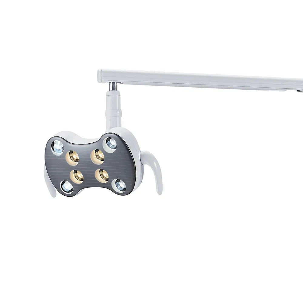 Hot Selling Gladent Veterinary Dental Equipment with Low Price