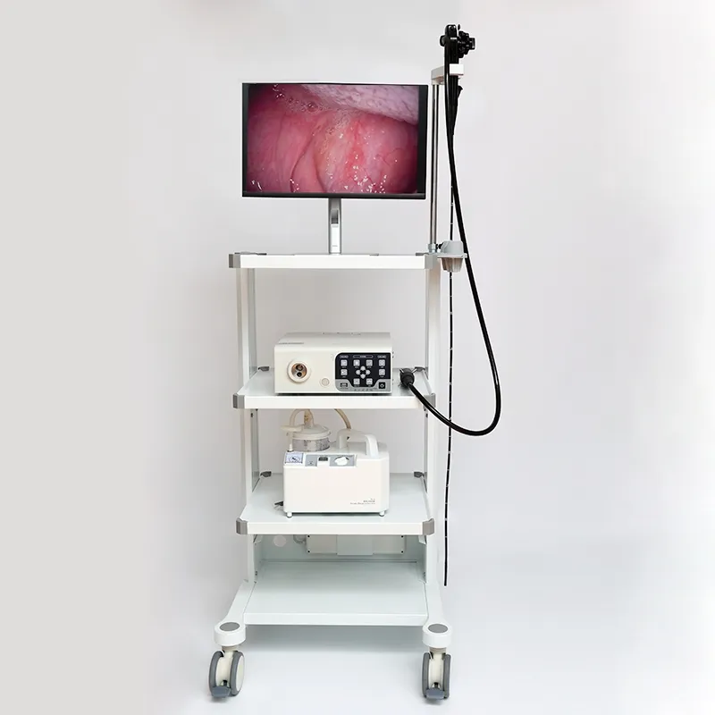 Veterinary Endoscopy Camera 2