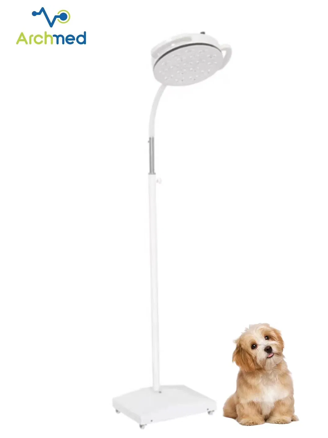 Veterinary Examination Light