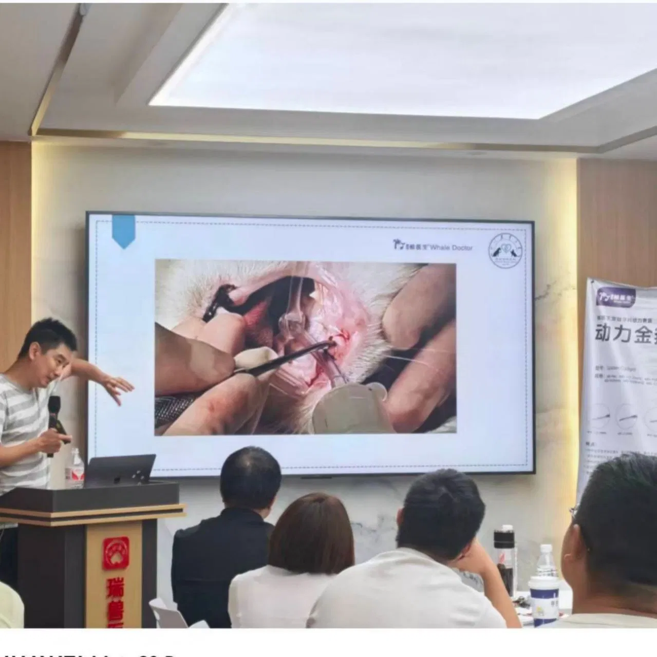 Advanced Pet Medical Equipment for User-Friendly Dental Care Tools Veterinary Instruments