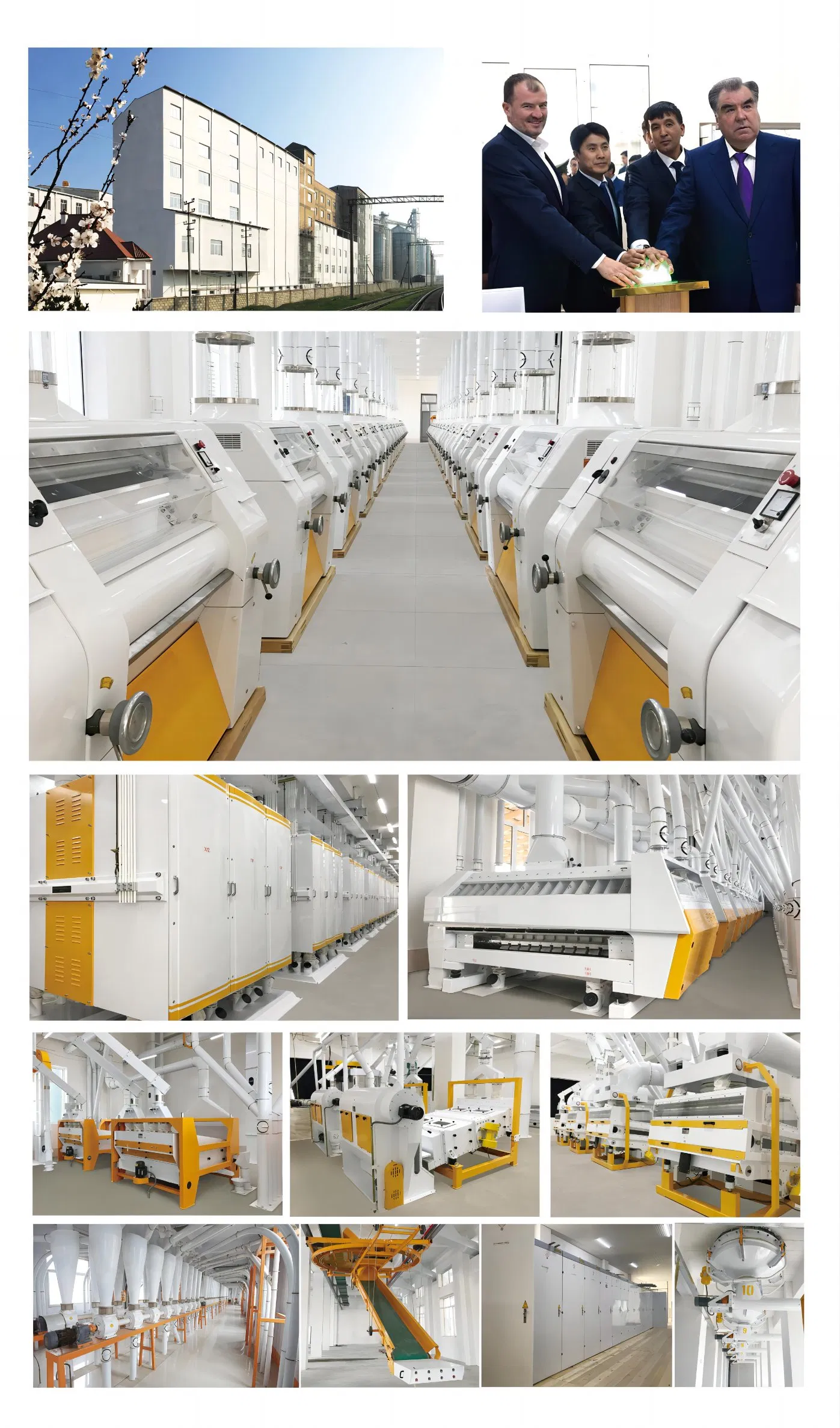 Advanced Flour Testing Equipment for Accurate Lab Analysis