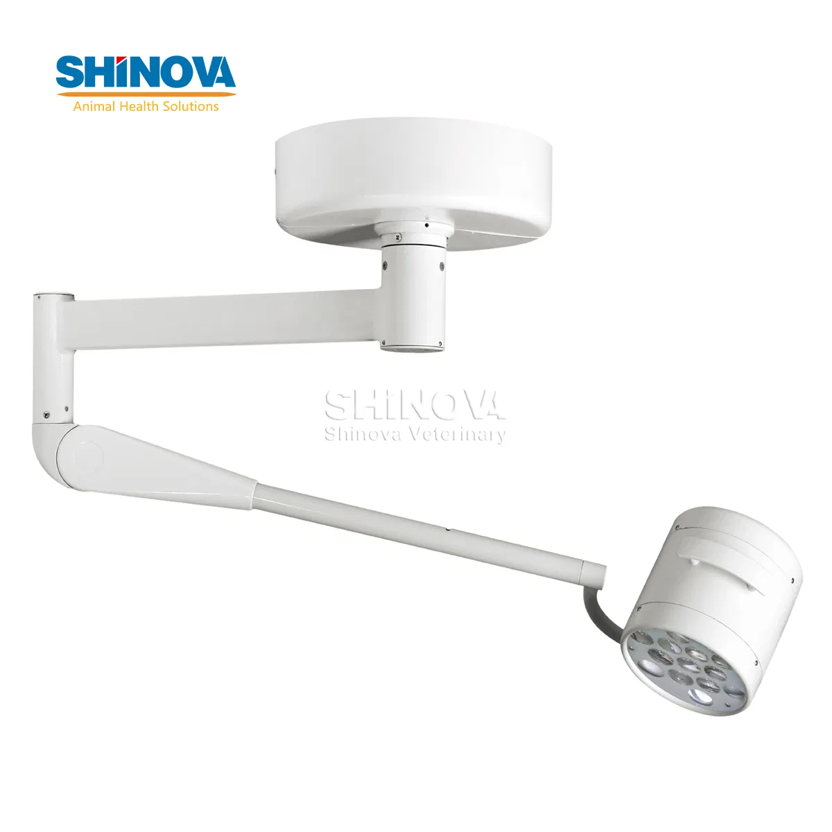 Veterinary LED Ceiling Operating Lamp Veterinary Surgery Light (LEDLP200C)