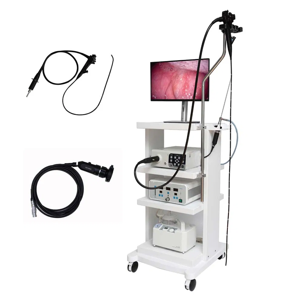 Endoscope Workstation Portable Veterinary Endoscopy Camera Endoscope System