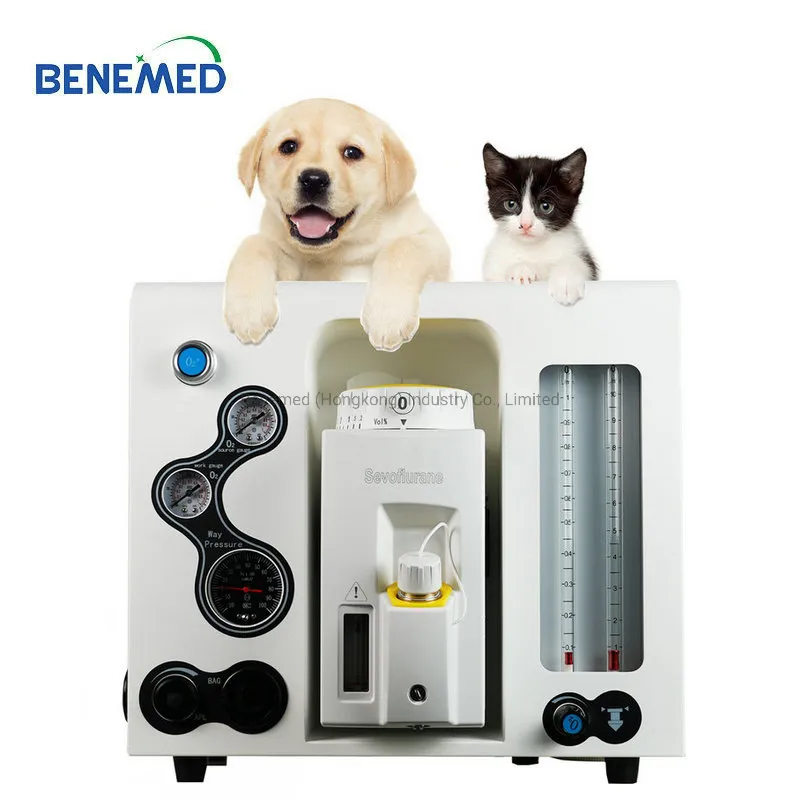 Vet Anesthesia Machine Detail 1