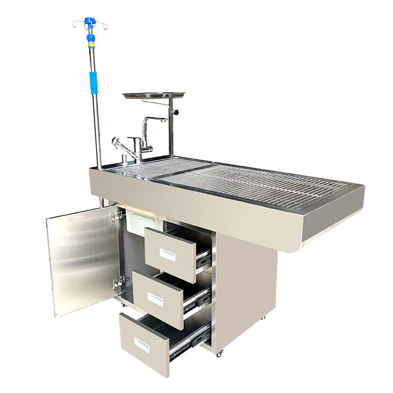 Pet Grooming Surgical Operating Veterinary Dental Work Medical Treatment Animal Examination Table