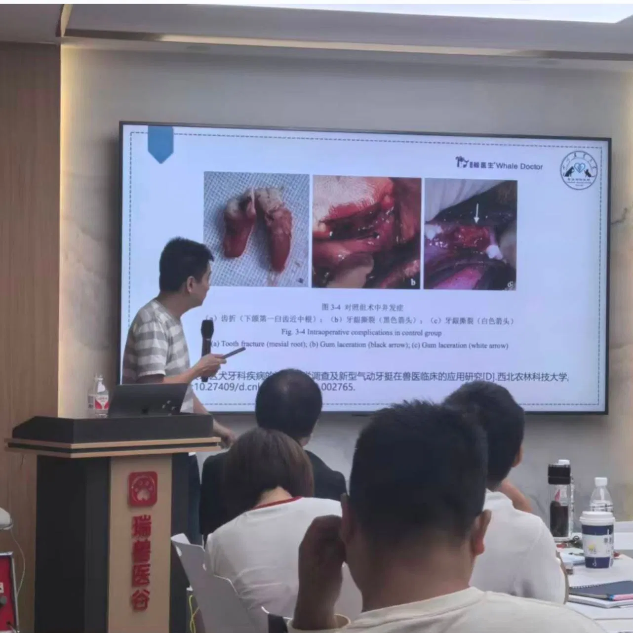 Advanced Pet Medical Equipment for User-Friendly Dental Care Tools Veterinary Instruments