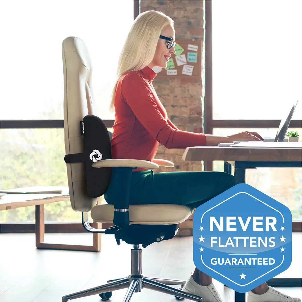 Lumbar Support Use Case