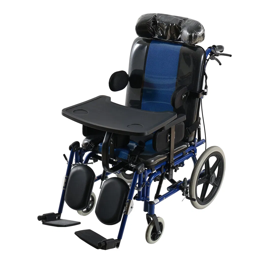 Cerebral Palsy Wheelchair Detail 3