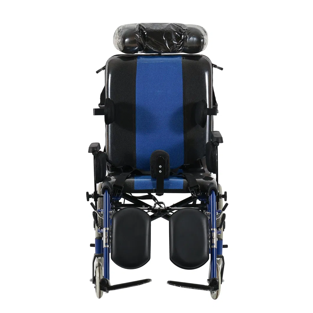 Cerebral Palsy Wheelchair Detail 2