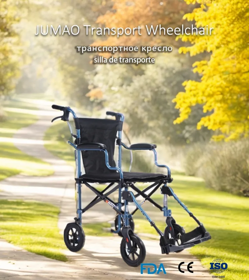 Wheelchair Main View