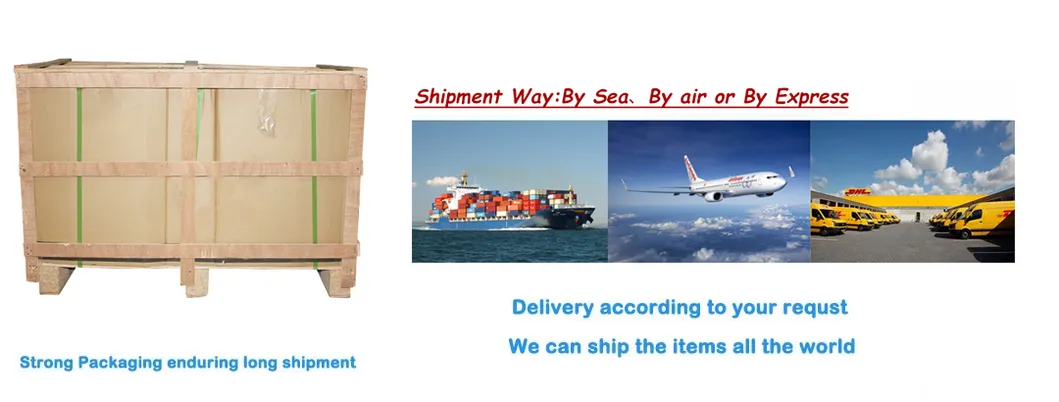 Packing and Shipment Detail