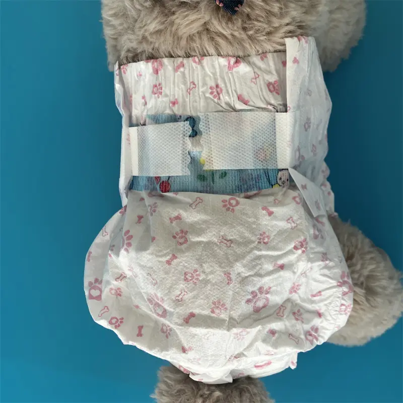 Custom CCPDF Disposable Pet Dog Diaper for Female Dog Manufacturer, Factory