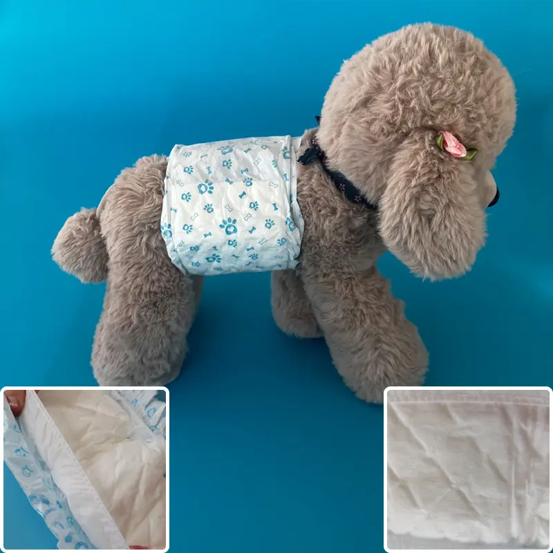 CCPDM Male Dog Diaper