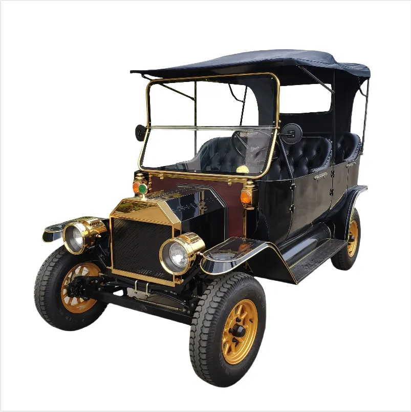 Electric Classic Car View