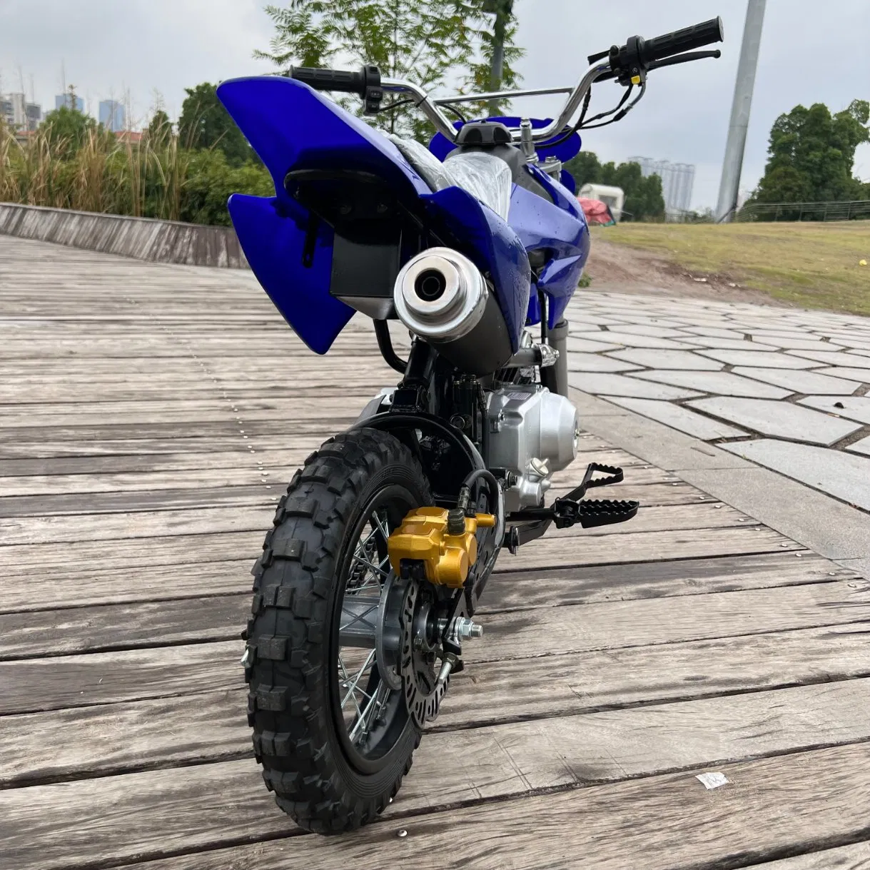 110cc Electric Start Blue off-Road Motorcycle for Kids