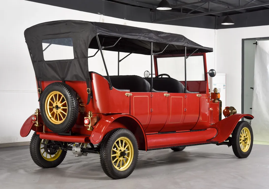 Sightseeing Golf Car 6