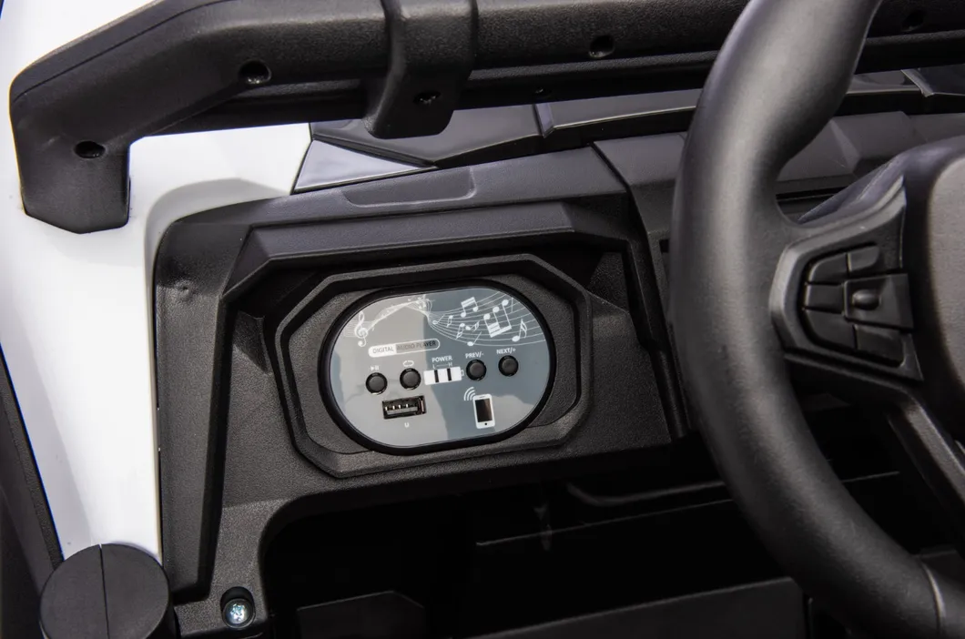 Electric Toy Car Detail