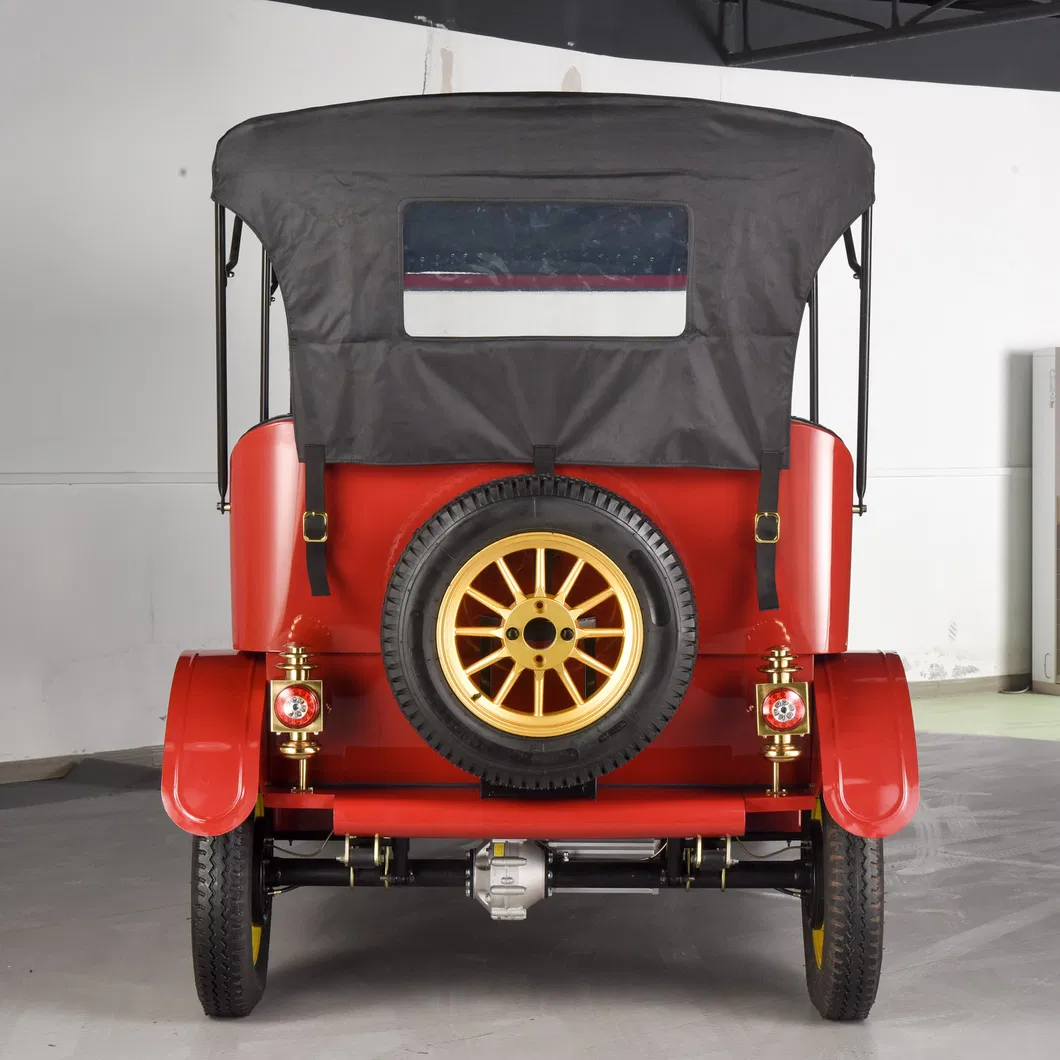 Sightseeing Golf Car 5