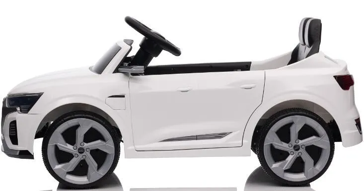 Wheel and Suspension